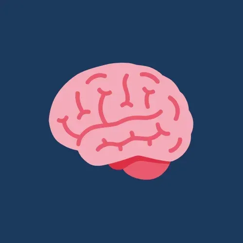 Illustration of a pink brain on a dark blue background, symbolizing intelligence and cognitive function.
