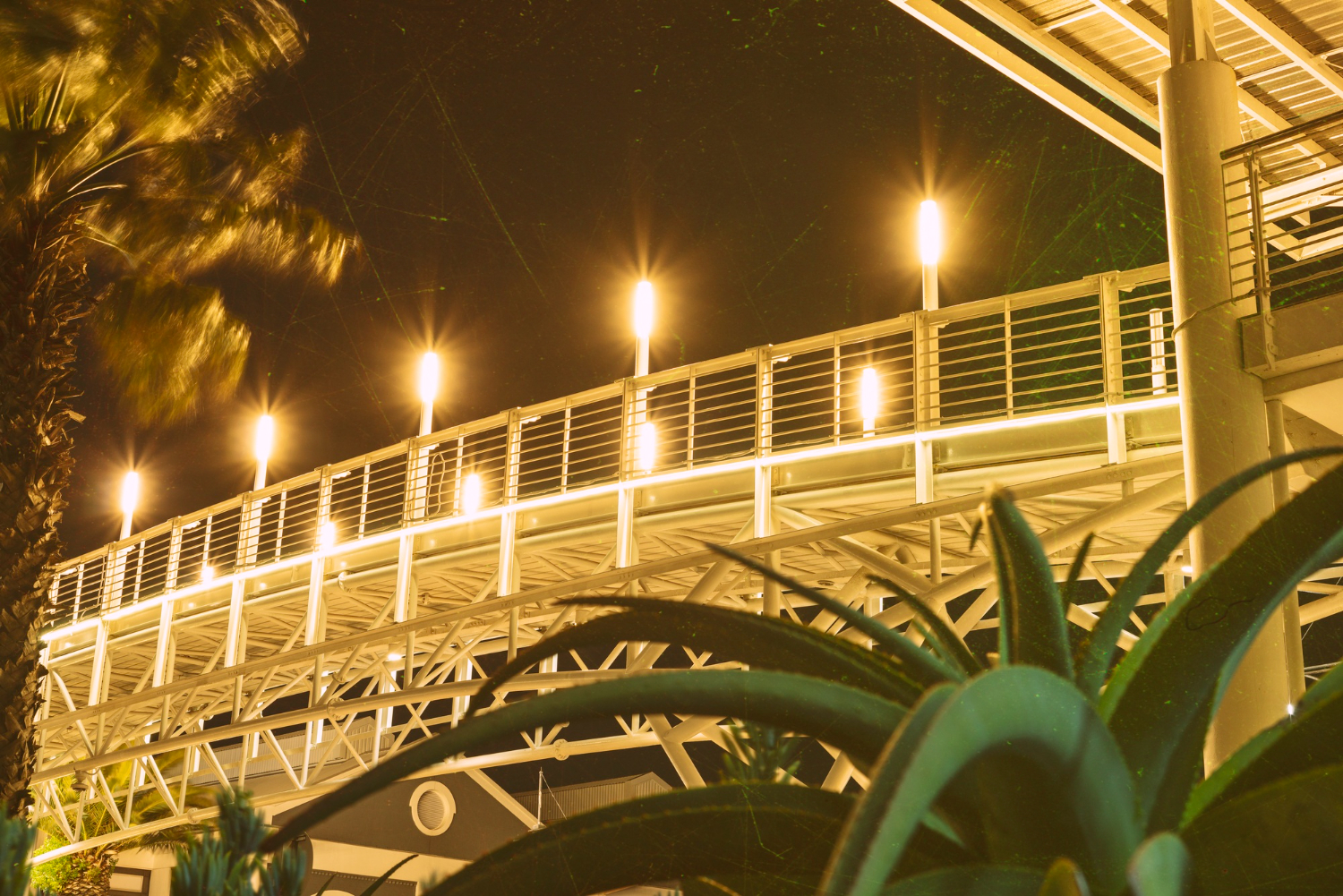 Low Voltage Landscape Lighting: The Smart Choice for Your Yard | Outdoor Lights + Shades