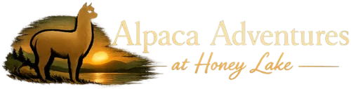 Alpaca Adventures at Honey Lake logo