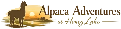 Alpaca Adventures at Honey Lake Logo