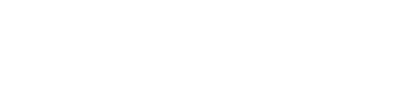 Baison Laser Logo