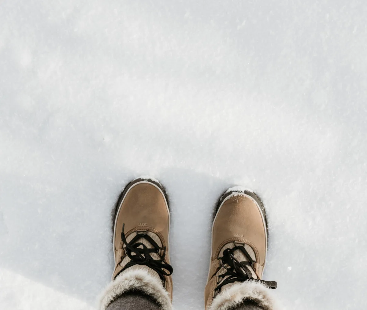 Looking down at tan winter books standing on snow.