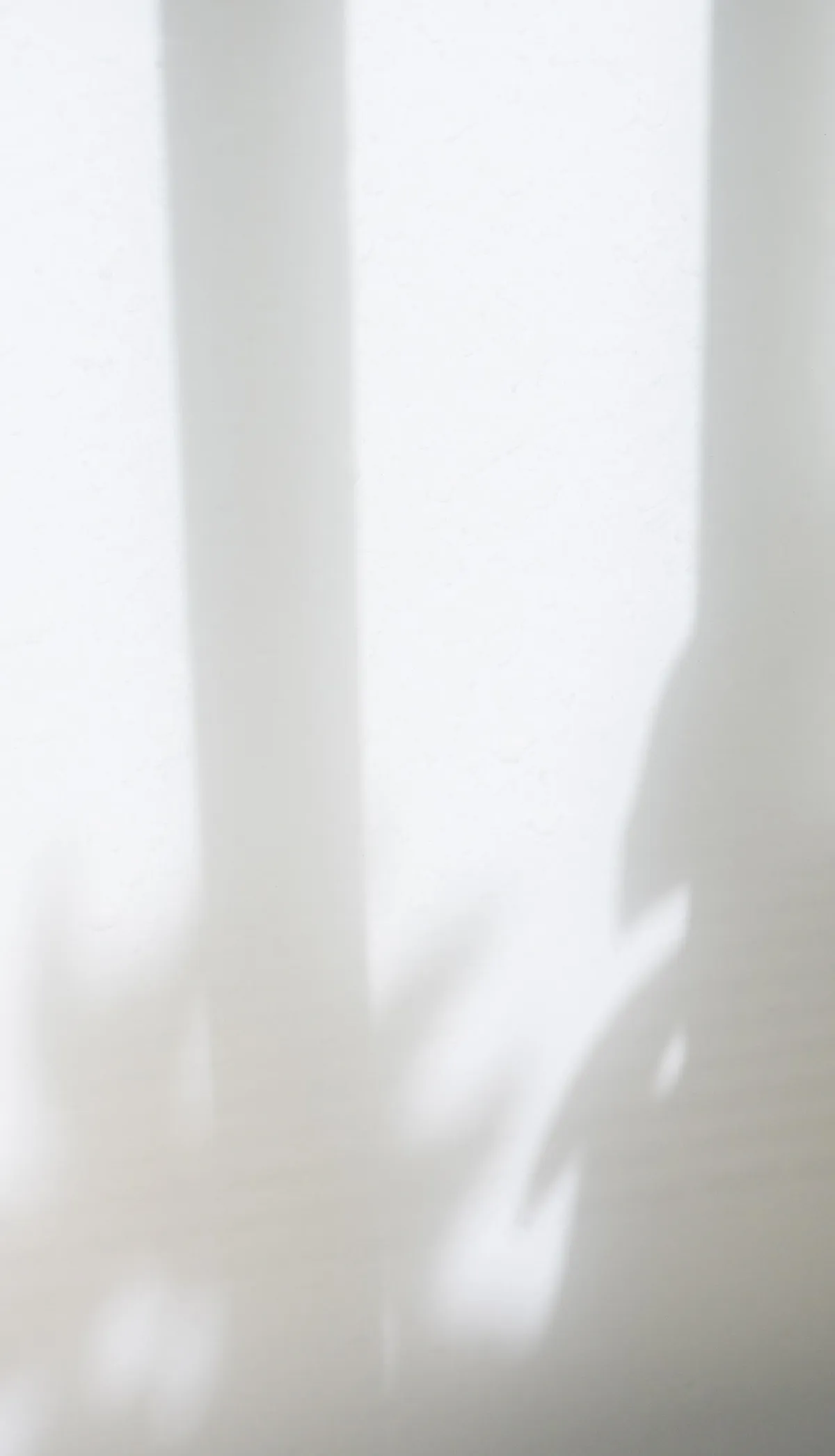 Abstract flame-like shadows on a white background