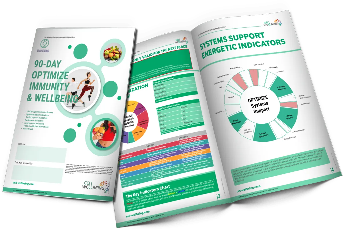 white flower in clear glass vase