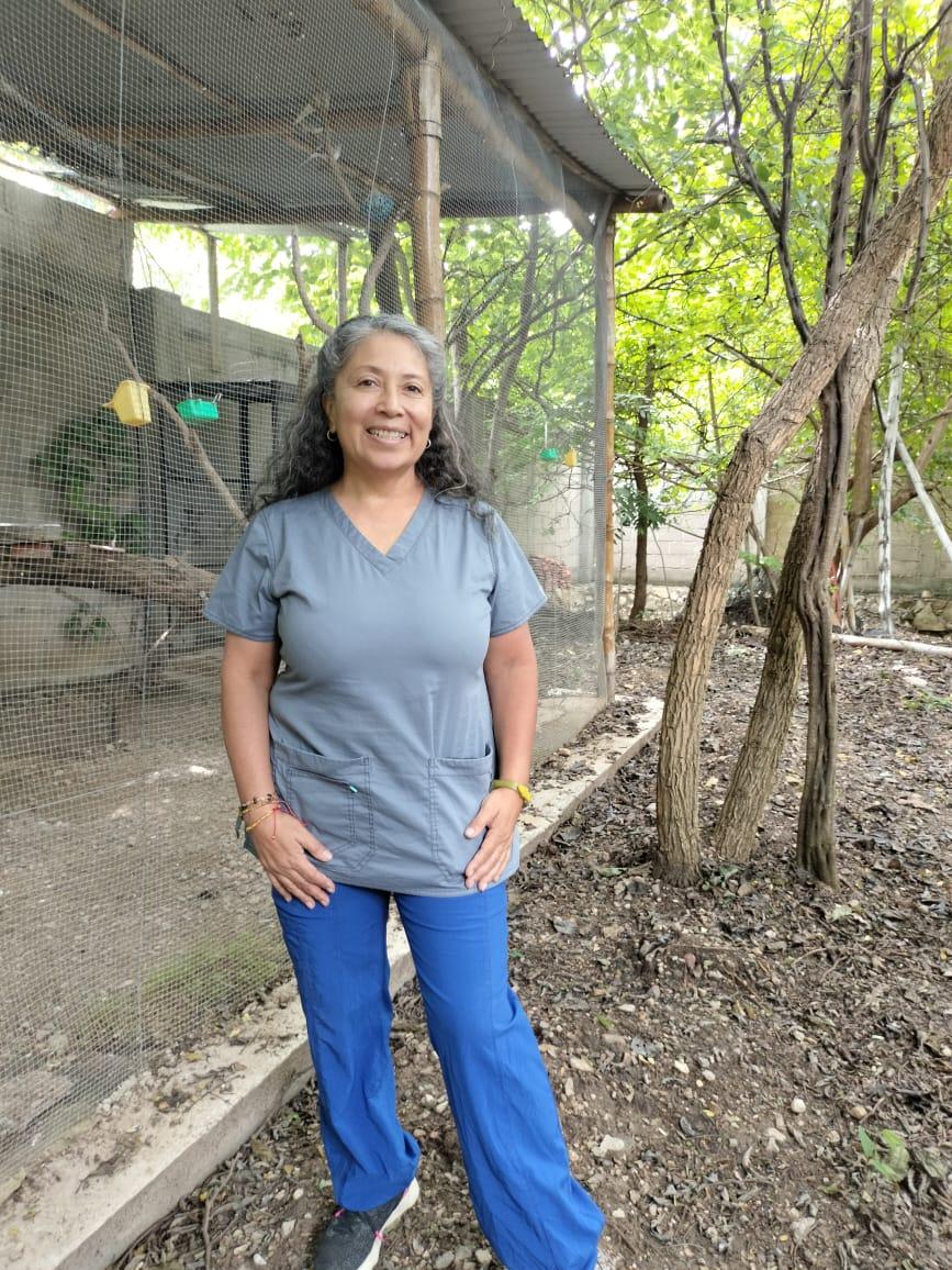 Veterinario de exótios