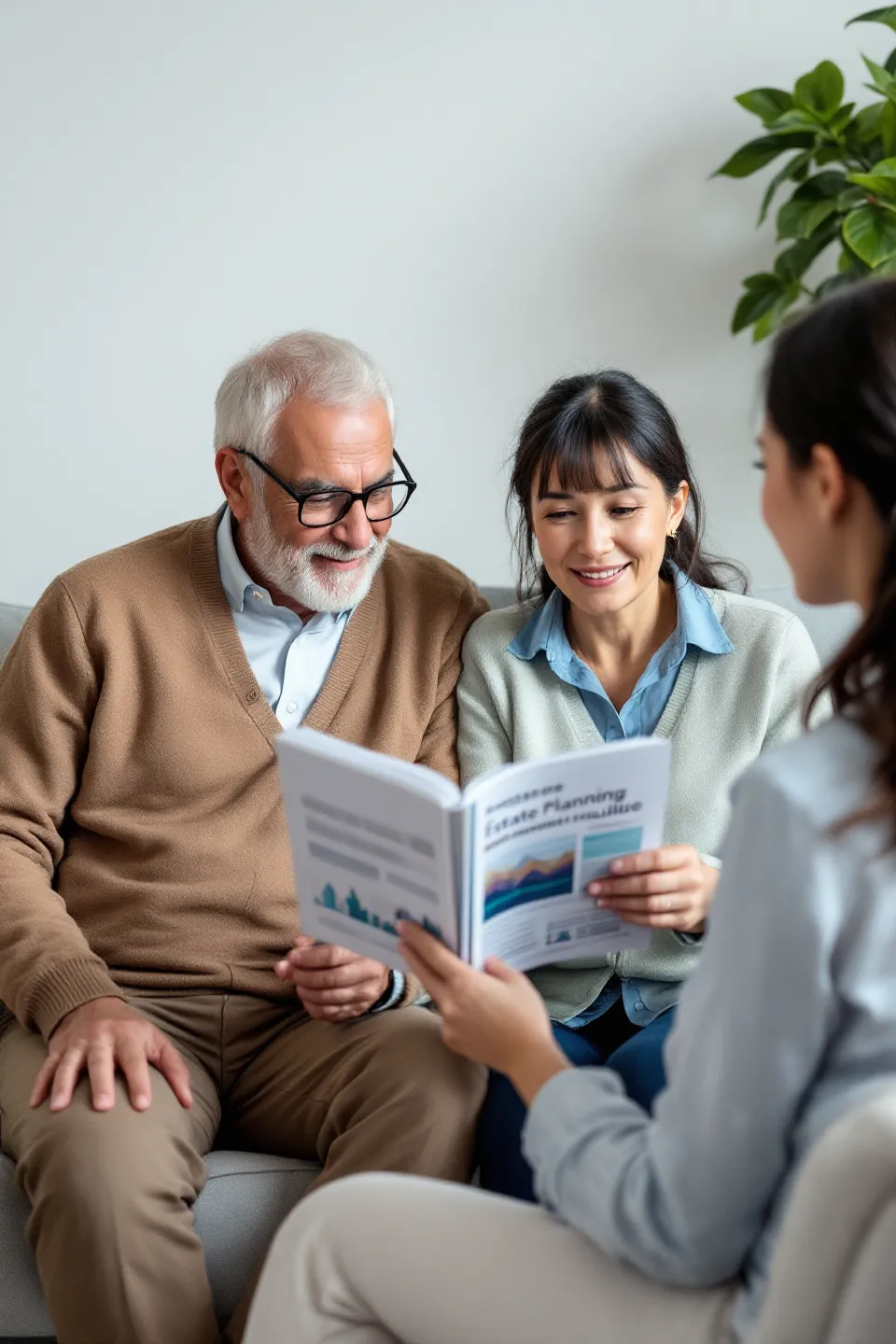 Estate planning guide consultation