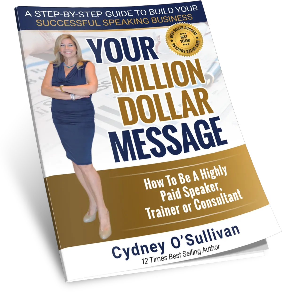 your million dollar messasge book by cydney o' sullivan