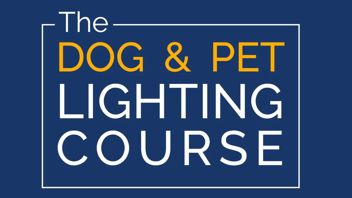 the dog and pet photography course