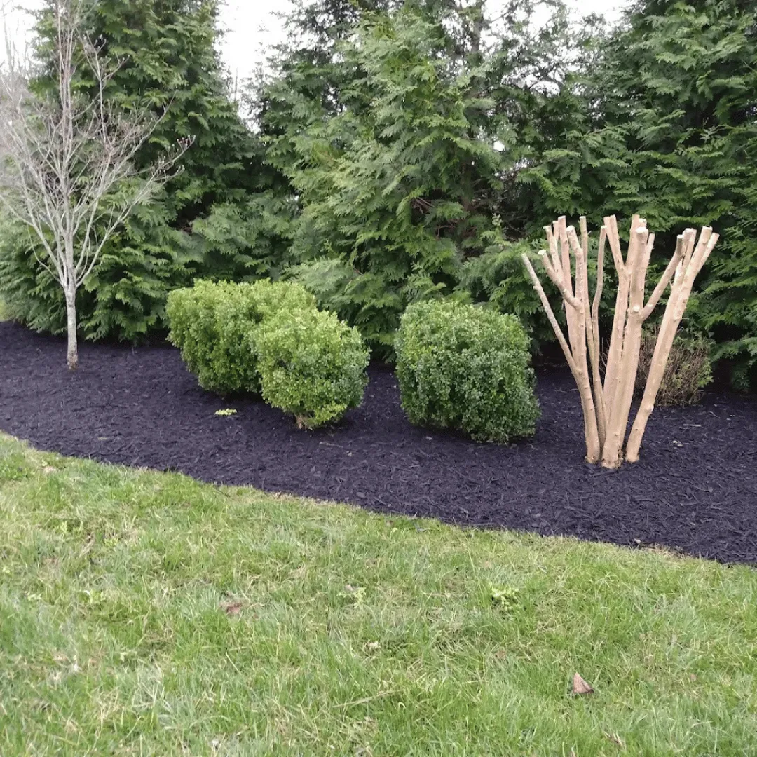 landscaping Colorado Springs, lawn care Colorado Springs, yard cleanup Colorado Springs, landscaping services Colorado Springs, lawn service Fountain CO, landscaping Monument CO, yard maintenance Woodland Park CO