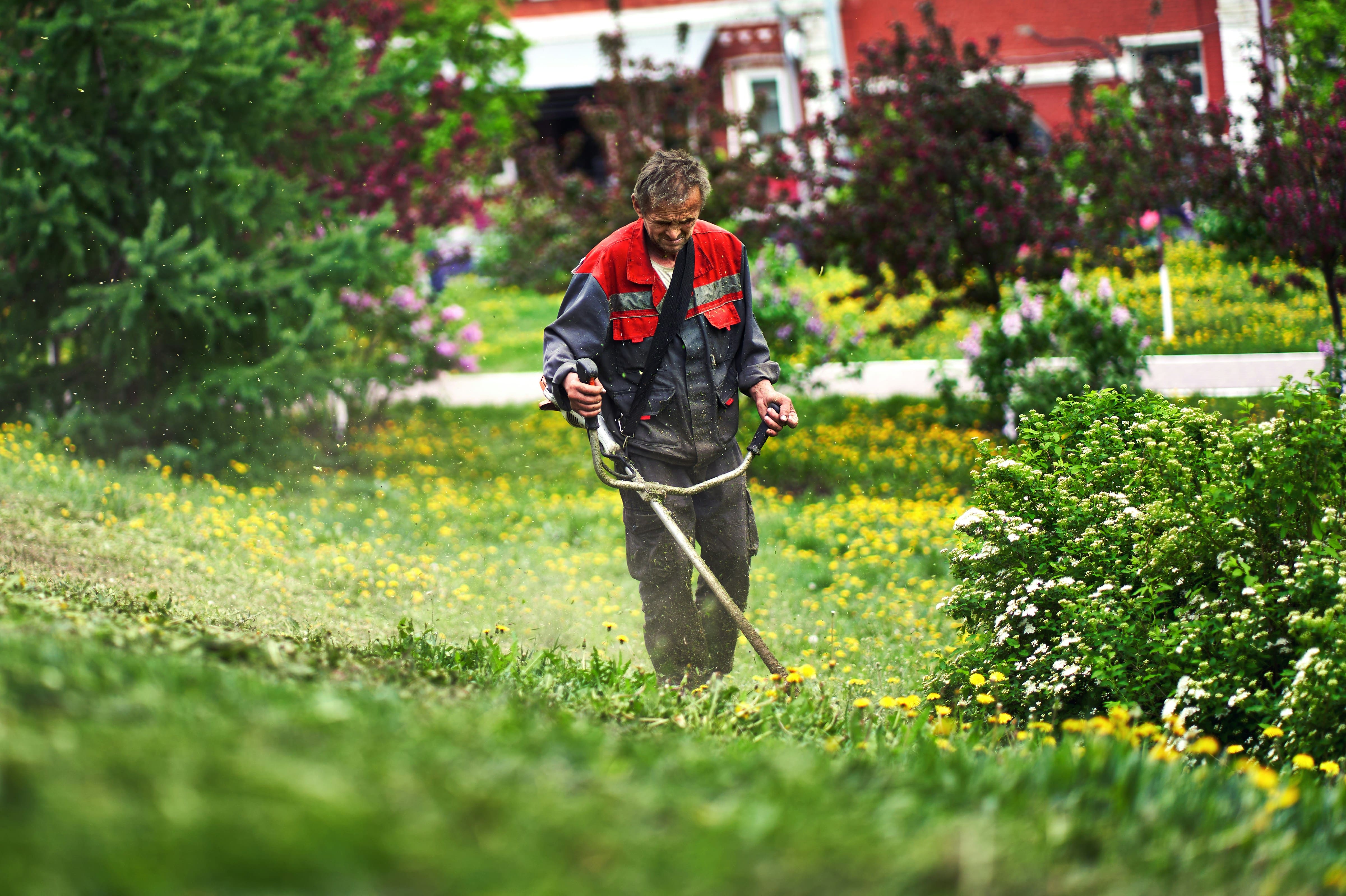 professional garden edging service victoria