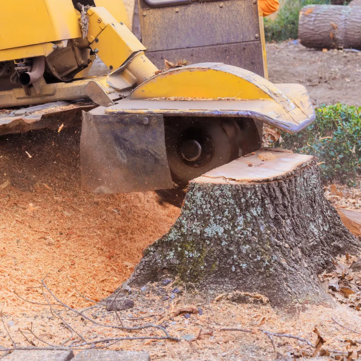 Concrete Contractor in Ventura County