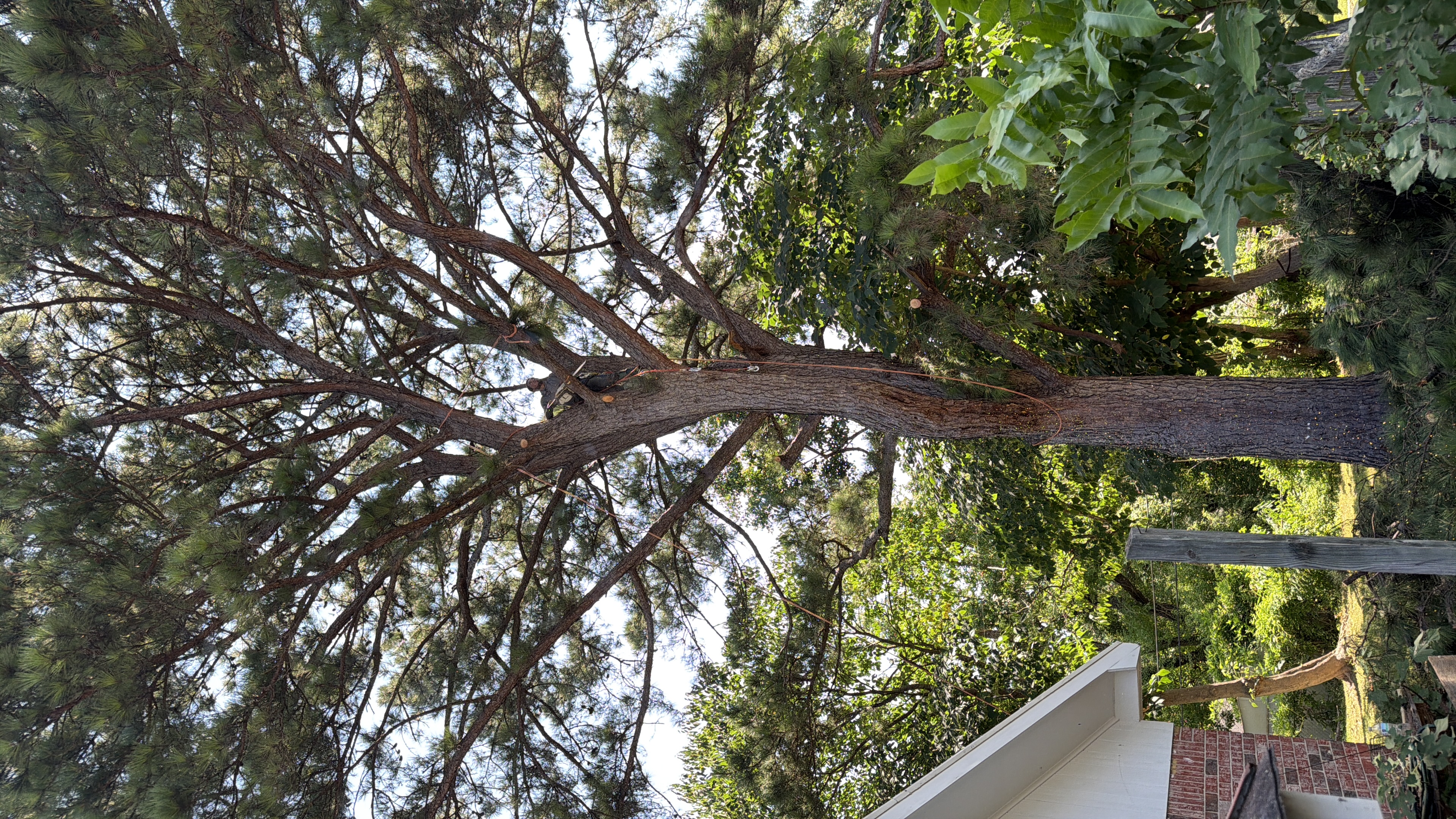 Landscape Contractor in Ventura County