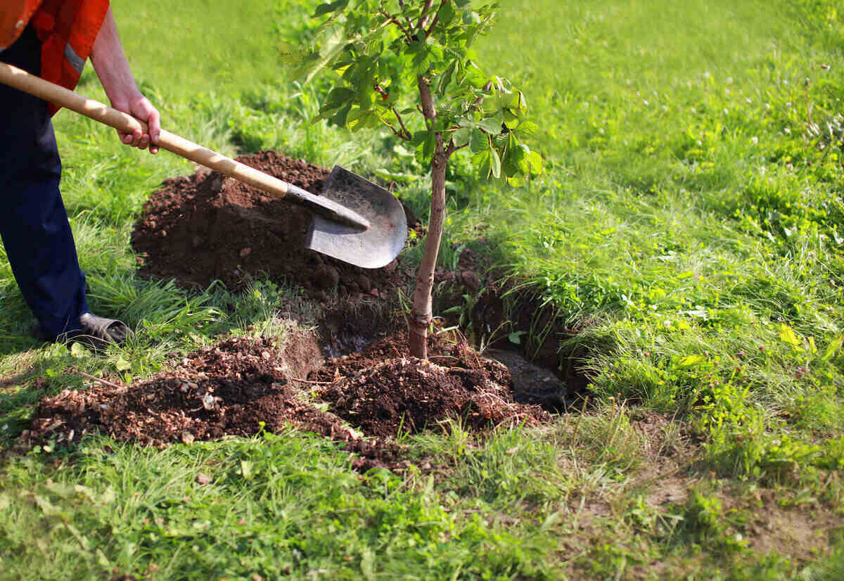Landscape Contractor in Ventura County