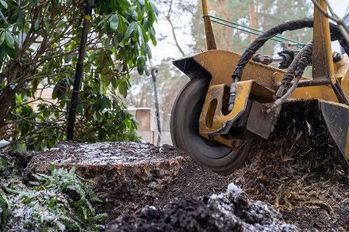 Concrete Contractor in Ventura County