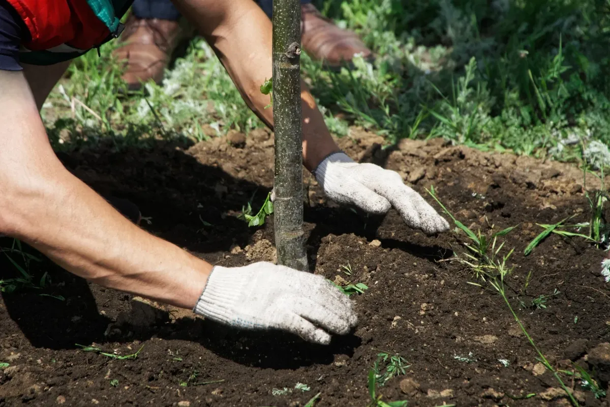 Concrete Contractor in Ventura County