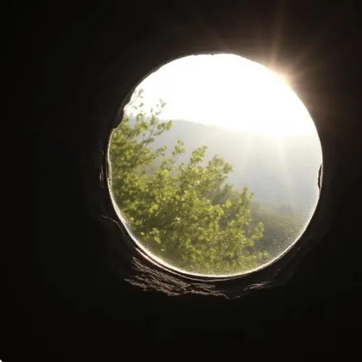 Tiffiny Newton author Domestic Abuse