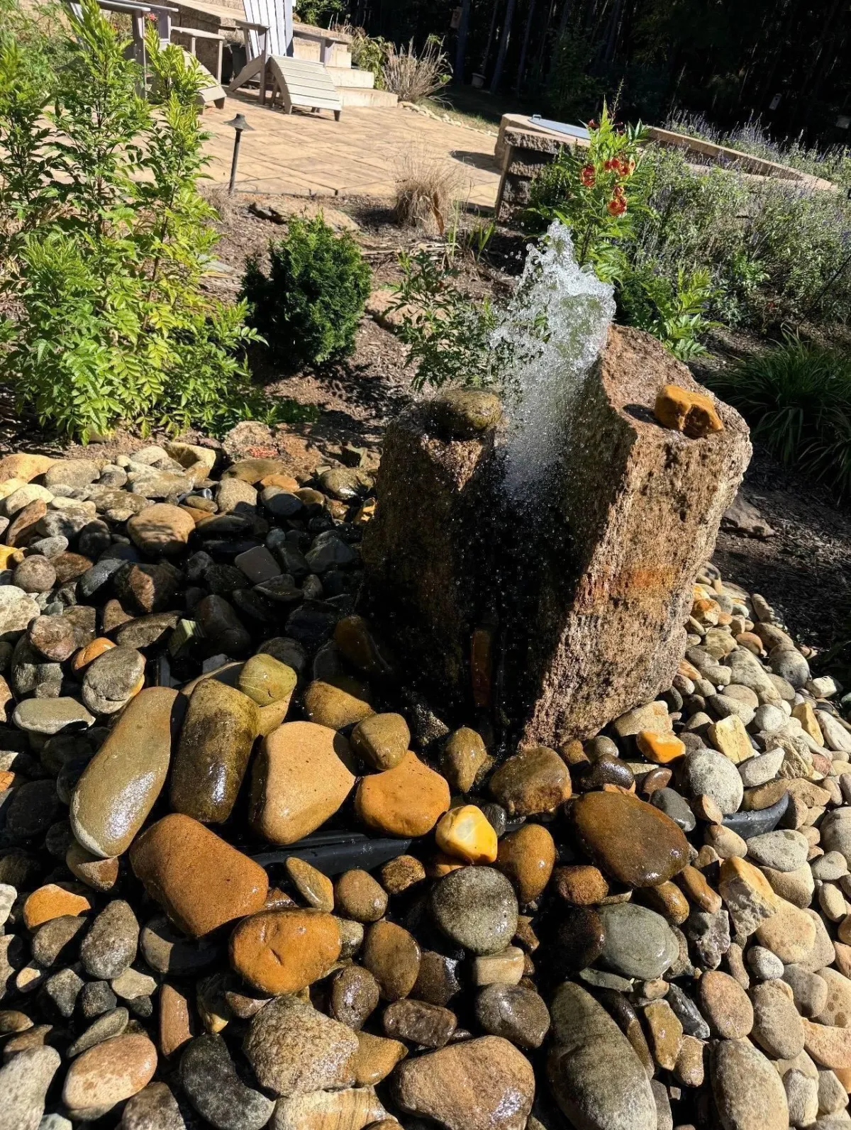 Demolition & Excavation in 