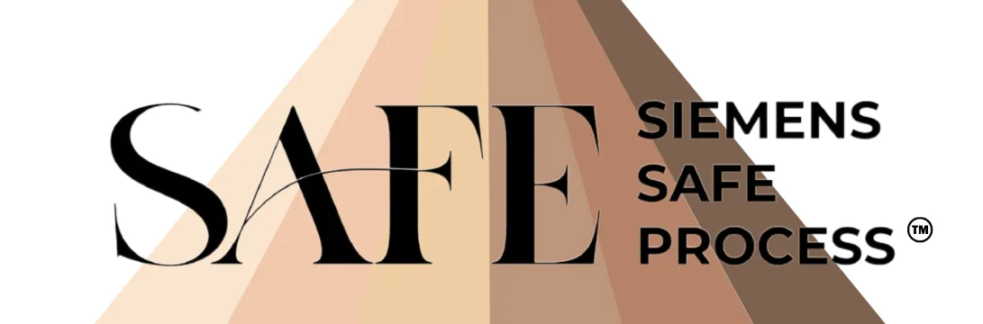 Kairos SIEMENS SAFE PROCESS