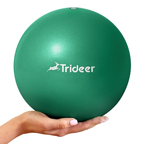 Trideer Exercise Balls Physical Therapy
