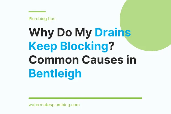 Why Do My Drains Keep Blocking? Common Causes in Bentleigh