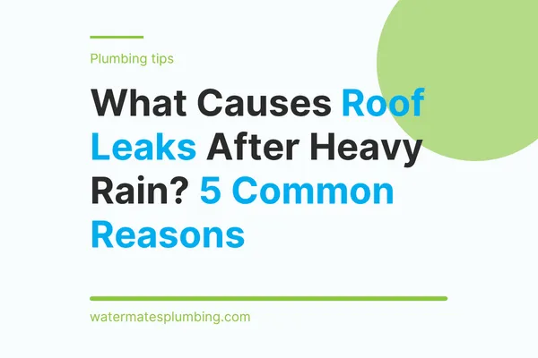 What Causes Roof Leaks After Heavy Rain? 5 Common Reasons