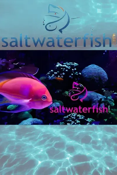 Logo for Saltwaterfish.com - Live Fish & Corals Delivered