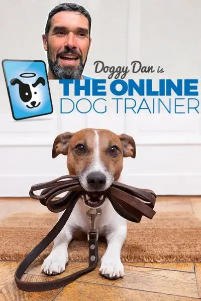 Logo for The Online Dog Trainer featuring Doggy Dan