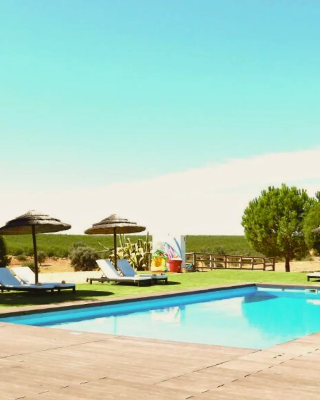  "Vista deslumbrante da piscina do Monte da Figueira Brava, rodeada por paisagens verdes do Alentejo, proporcionando um ambiente relaxante e perfeito para aproveitar o sol e a tranquilidade da região,