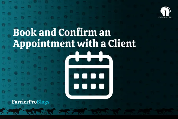 Book and Confirm an Appointment with a Client