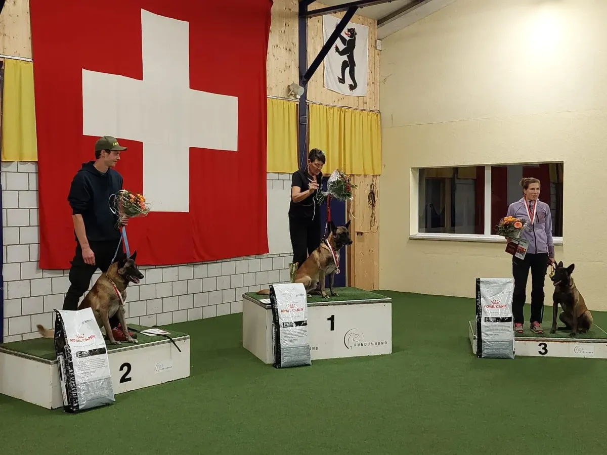 Vize-Schweizermeister in der Disziplin Internationaler Begleithund (IBGH)