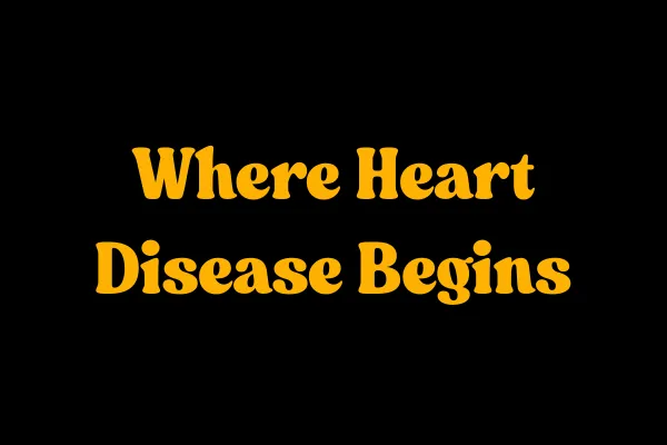 Where Heart Disease Begins