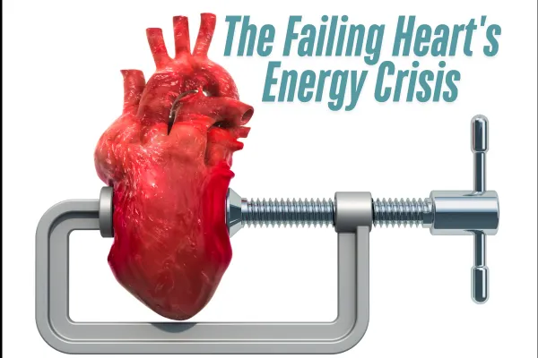The Failing Heart's Energy Crisis