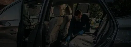 car mold removal Riverview FL SDS Auto Detailing