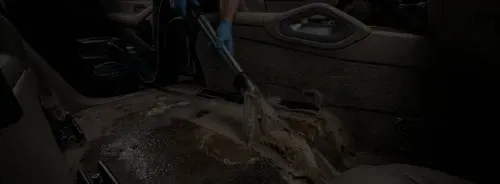 car carpet shampoo Riverview FL SDS Auto Detailing