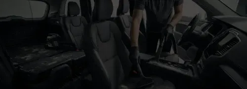 pet hair removal car Riverview FL SDS Auto Detailing