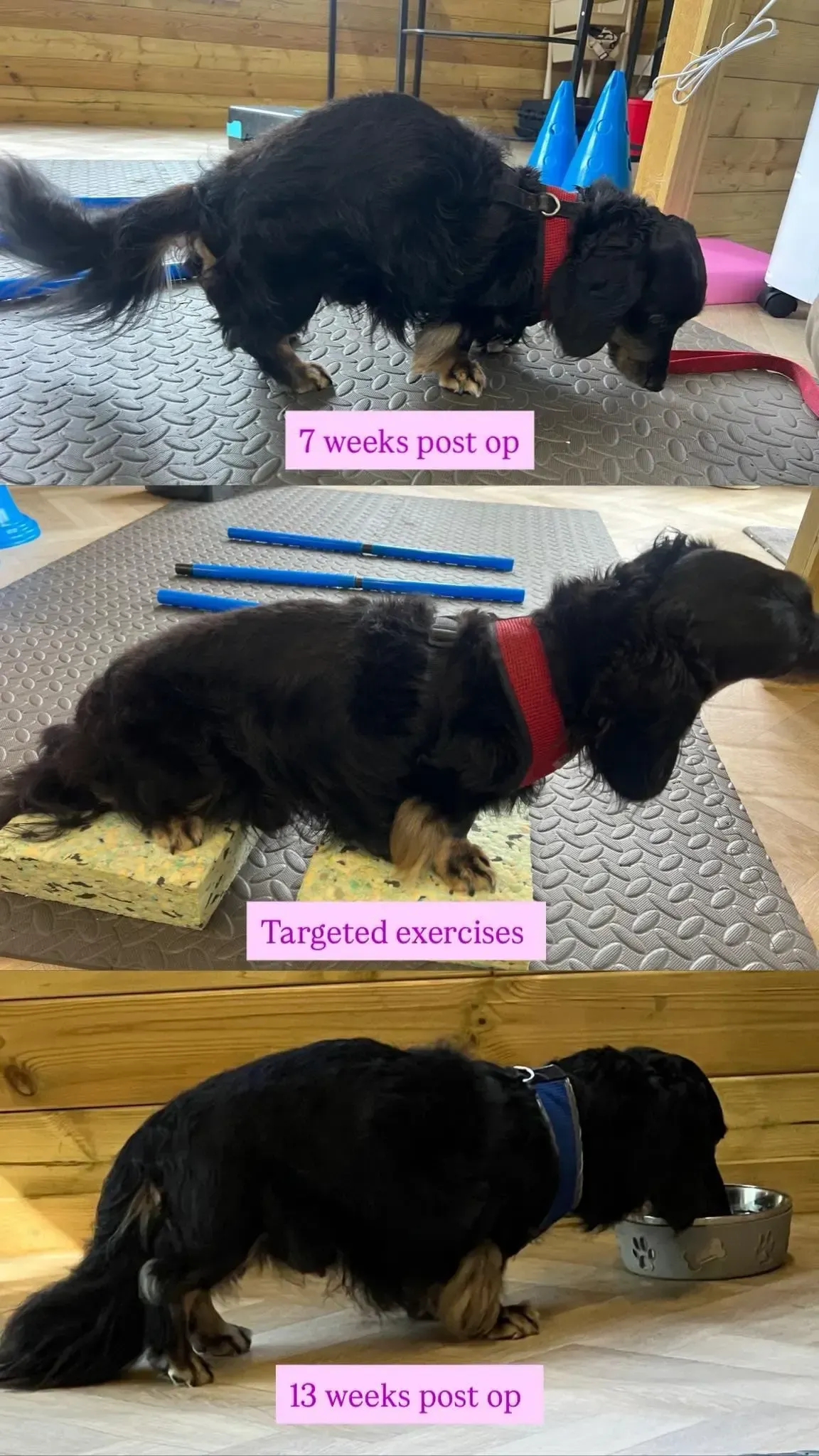 Penzance Post Operation Physiotherapy