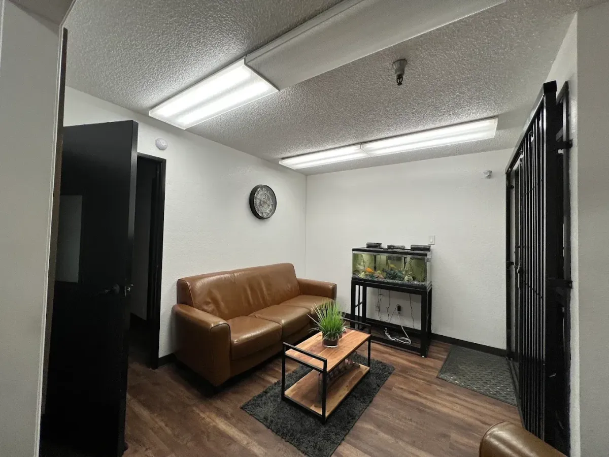Pro Office Cleaning Services