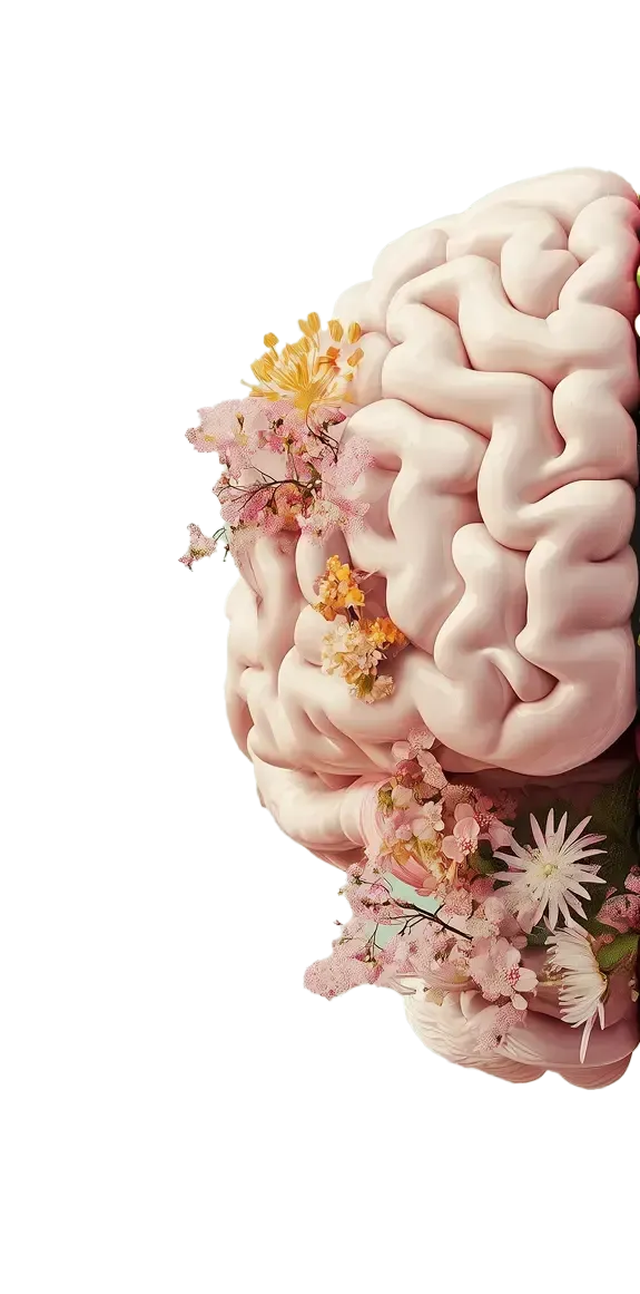 Left side of the brain