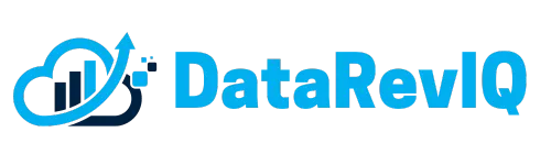 DataRevIQ Logo