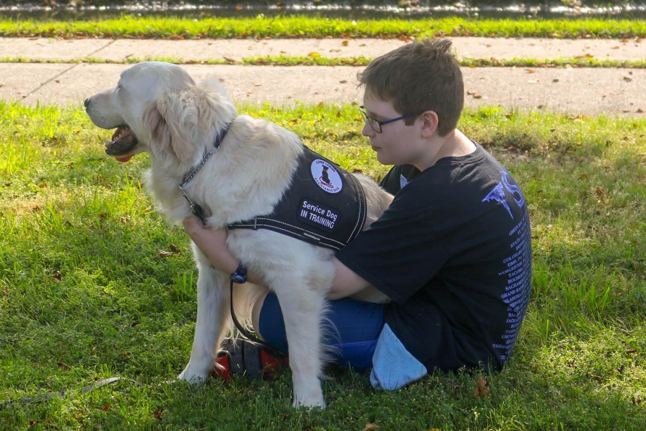 Service dog training at Clever Canine Dog Training in Waterford Michigan
