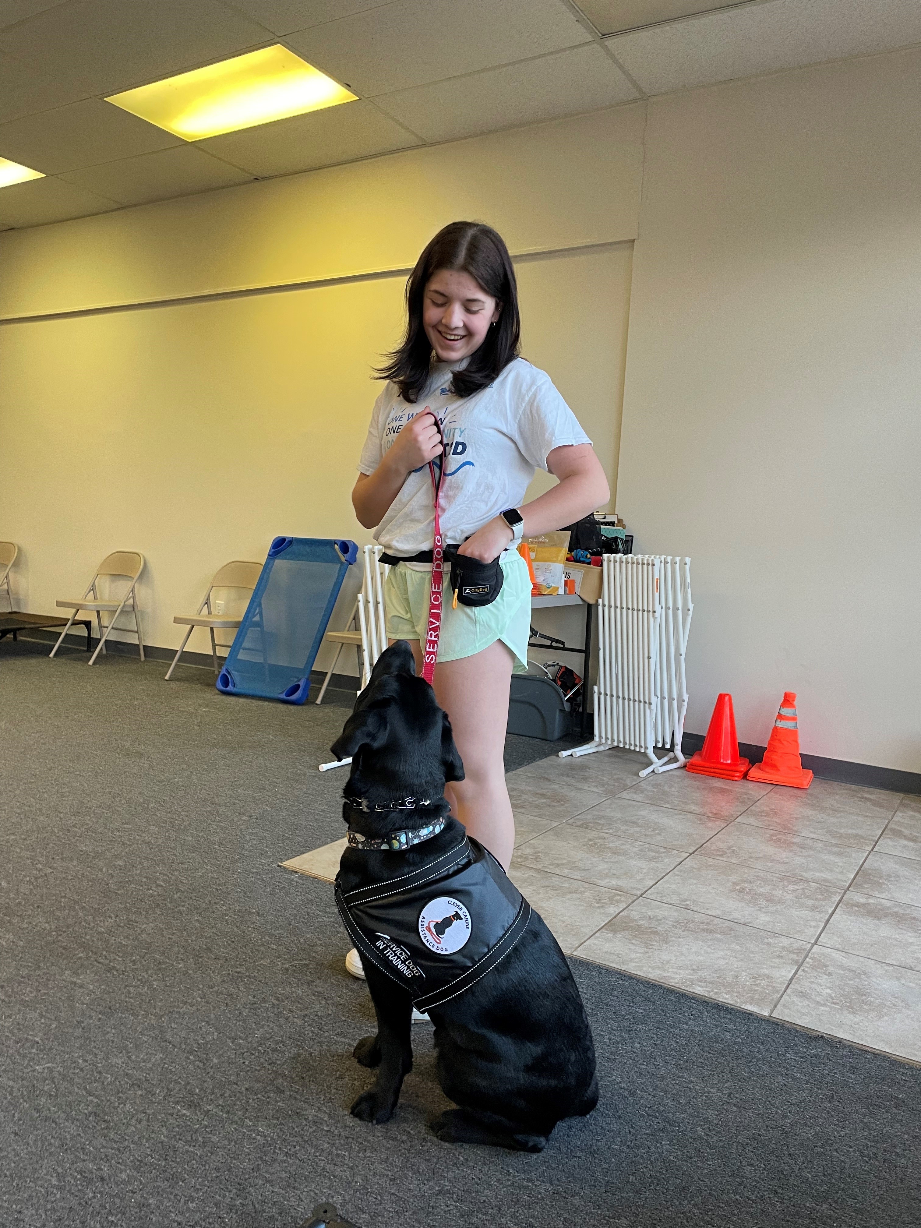 Service dog working with handler at Clever Canine Dog Training in Waterford Michigan