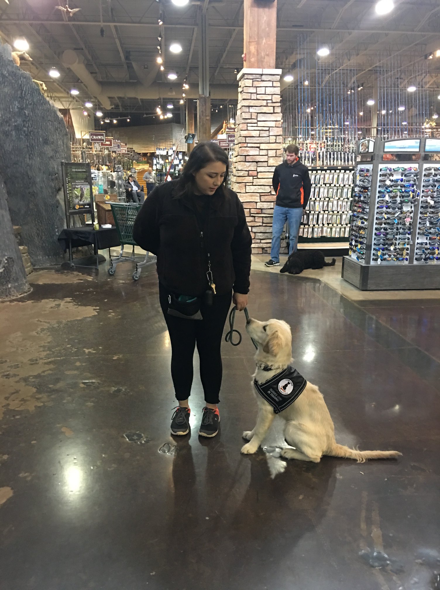 Service dog handler partnership training at Clever Canine Dog Training in Waterford Michigan