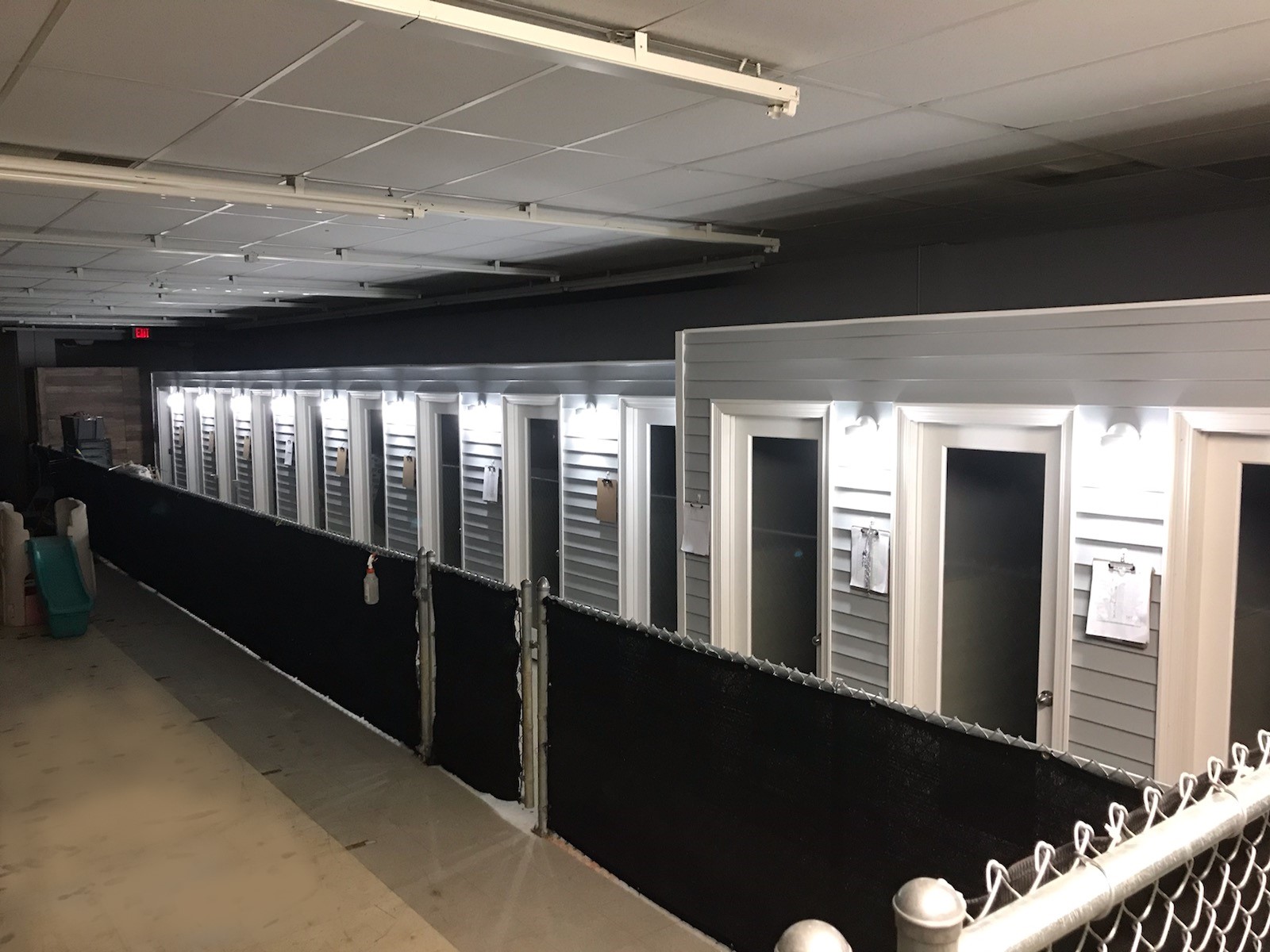 Dogs enjoying boarding at Clever Canine Dog Training in Waterford Michigan