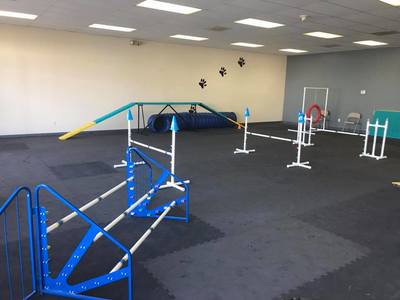 Dog agility training class in Waterford Michigan