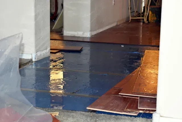 Flooded Living Room
