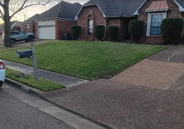 Front yard in Memphis with neatly mowed grass and landscaped hedges
