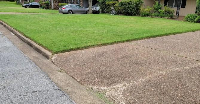 Lush, green, freshly mowed front lawn in a quiet Memphis neighborhood