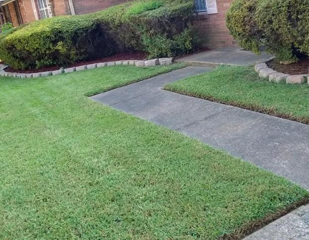Nicely edged stone pathway bordered by freshly trimmed hedges in a residential yard in Memphis