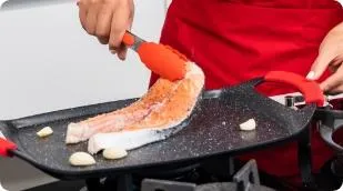 placa grelhador wondergrill Master Swiss