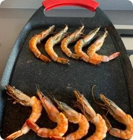 placa grelhador wondergrill